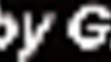 Orso gay sodomizza un bruno