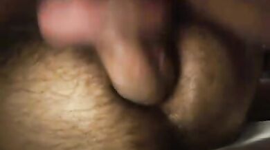 Orso gay sodomizza un bruno