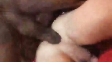 Negro violenta un ragazzo