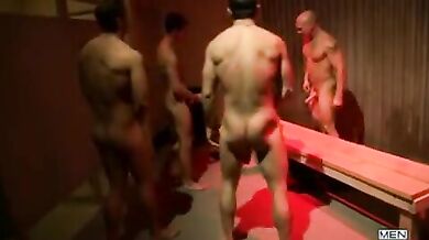 Orgia di giovani porci