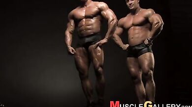 Bellissimi muscoli gay