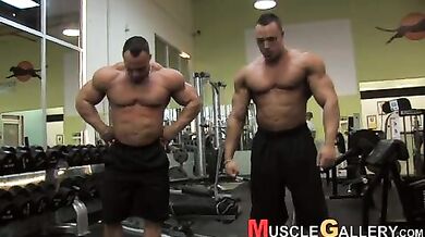 Bellissimi muscoli gay