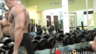 Bellissimi muscoli gay