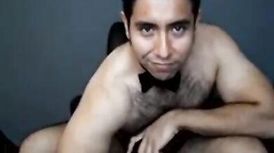 Orso gay solista in webcam