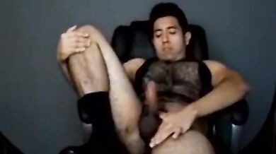 Orso gay solista in webcam