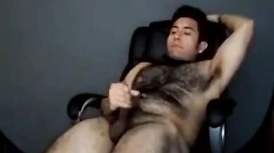 Orso gay solista in webcam