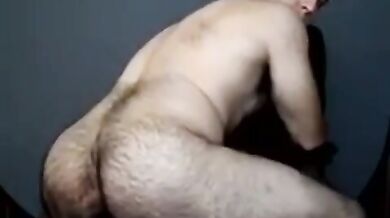 Orso gay solista in webcam