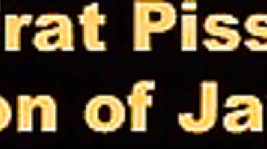 Gruppo gay sborra un diciottenne