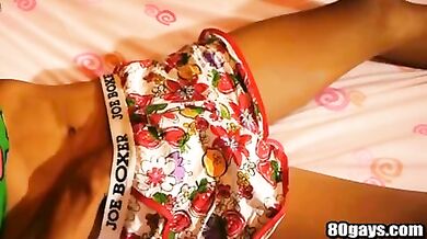 Porco tailandese gay