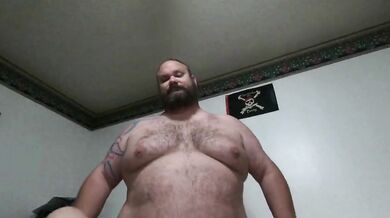 Inculato da grande orso peloso