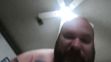 Inculato da grande orso peloso