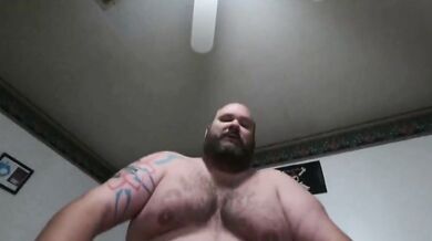 Inculato da grande orso peloso