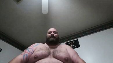 Inculato da grande orso peloso