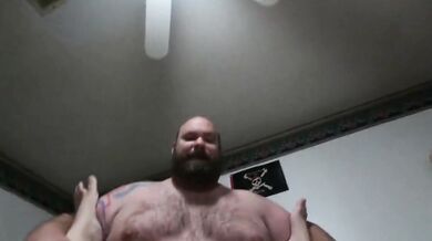 Inculato da grande orso peloso