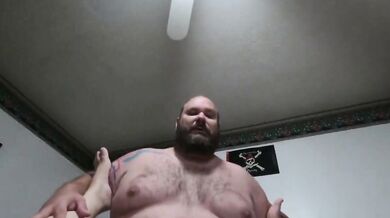 Inculato da grande orso peloso