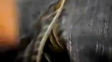 Segaioli in metro compilation