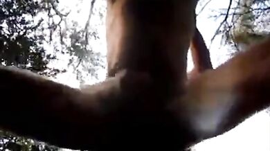 Inculato e masturbato outdoor