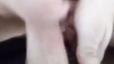 Ci masturbiamo il cazzo insieme