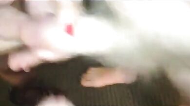 Due gay e un trans si strofinano i cazzi insieme