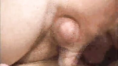 Grassoni gay fanno sesso