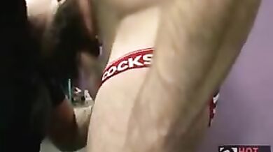 Orsi gay con mutandine sexy