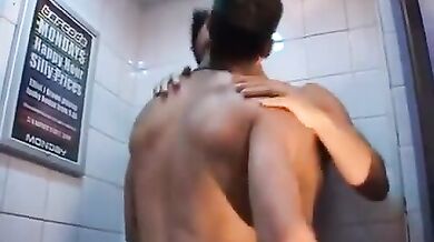 Giovani porci super arrapati