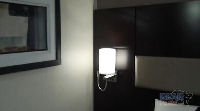 Orsetti omosessuali trombano