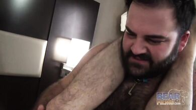 Orsetti omosessuali trombano