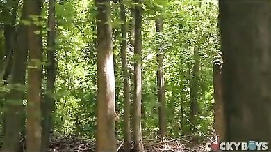 Incontro sessuale nel bosco