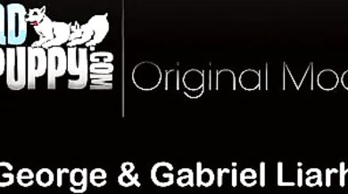 Coppia gay mista scopa