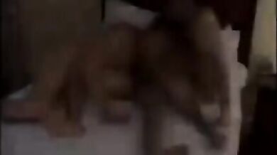 Boy gay si prende cura di due papà