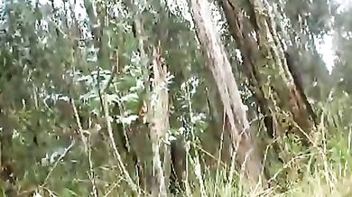 Gay ebony amatoriale si masturba nel bosco