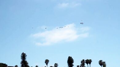 Incontro gay in spiaggia