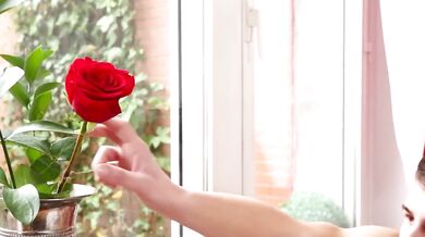 Al mio fidanzato piace il cazzo grande