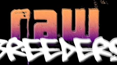 Sesso hard per negri fighi