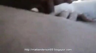 Ingoia sperma asiatico