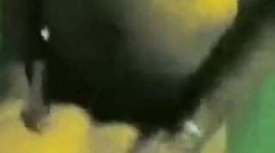 Sesso di gruppo tra papà amatoriali in Indonesia