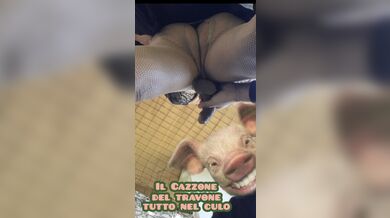 Il cazzone del travone nel culo