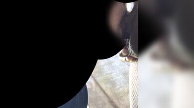 Il cazzone del travone nel culo