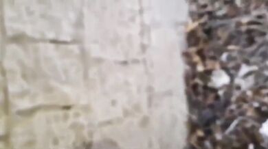 I got black cock in my ass