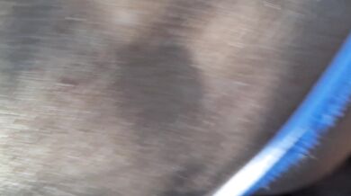 Pak mi scopa nel bosco