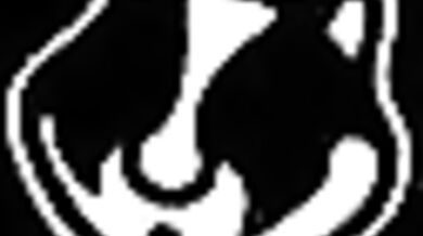 Orgia gay bukkake indiana