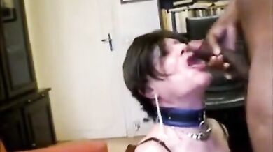 Travestito troia succhia e ingoia un grosso cazzo