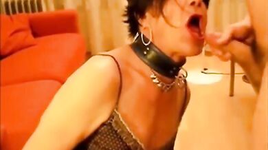 Travestito troia succhia e ingoia un grosso cazzo