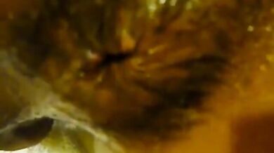 Papà amatoriale senza preservativo scopa un ragazzo