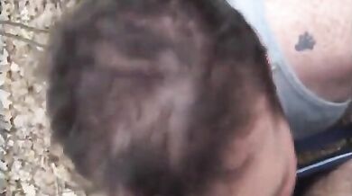 Fusti pelosi nella foresta