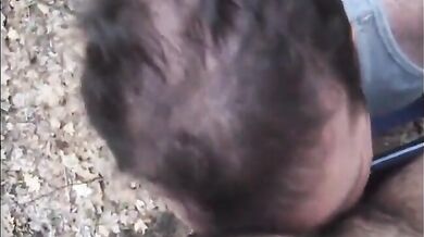 Fusti pelosi nella foresta