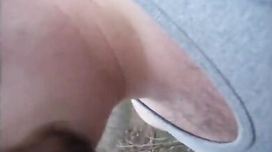 Fusti pelosi nella foresta