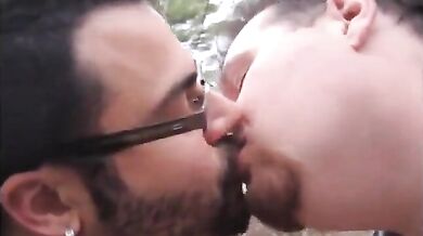 Fusti pelosi nella foresta