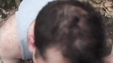 Fusti pelosi nella foresta